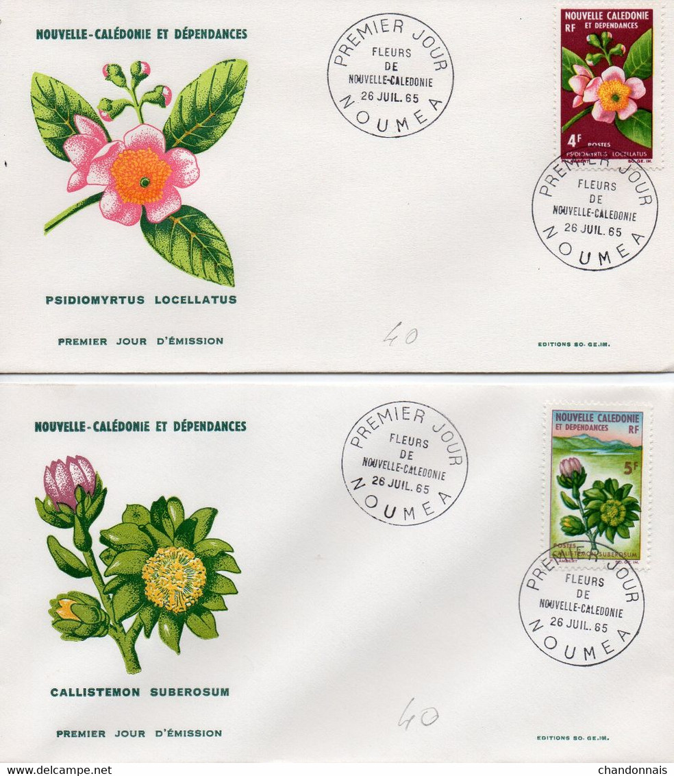 (L449) Nouvelle Calédonie Série Des Fleurs 1964/65 En PJ (enveloppes Et Cartes) Bel Ensemble Complet. Voir Détail - Brieven En Documenten