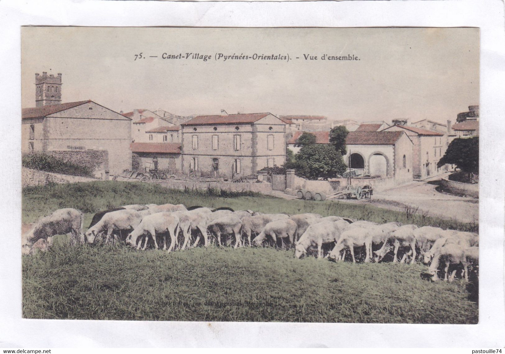 CPA :  14 X 9  -  CANET-VILLAGE  -  Vue  D'ensemble - Canet En Roussillon