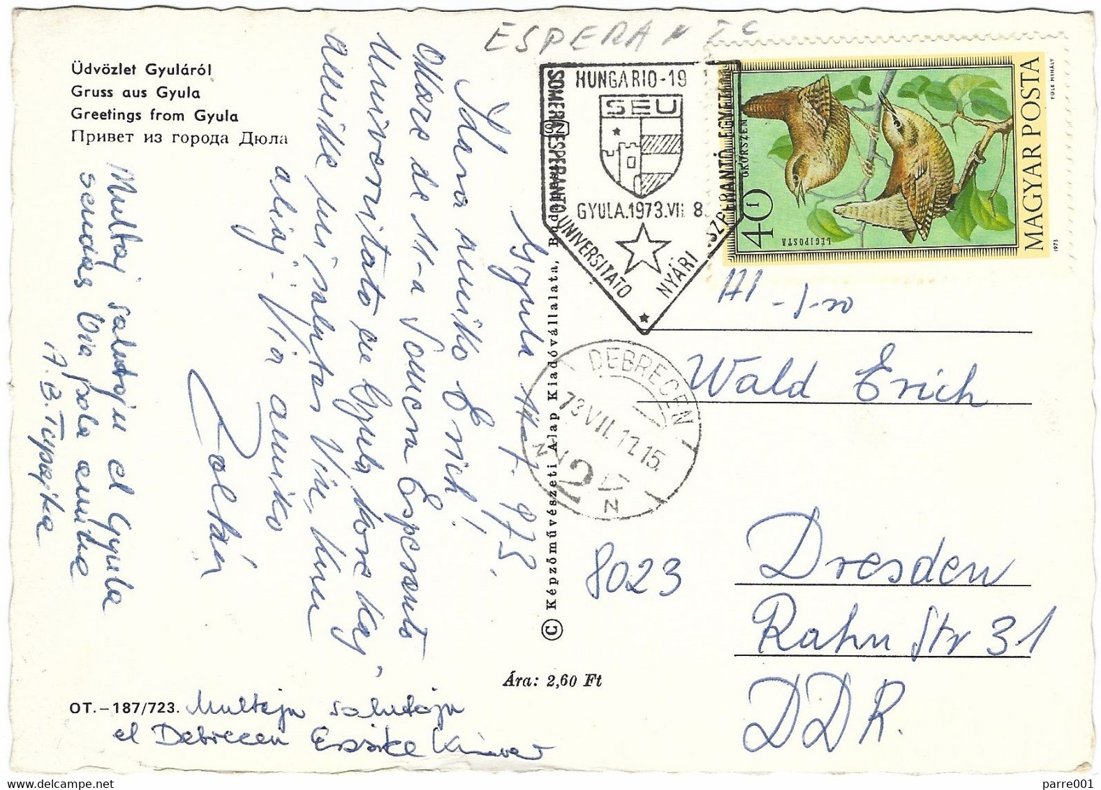 Hungary 1973 Gyula Eurasian Wren Troglodytes Troglodytes Summmer Esperanto University Special Postmark Viewcard - Esperanto