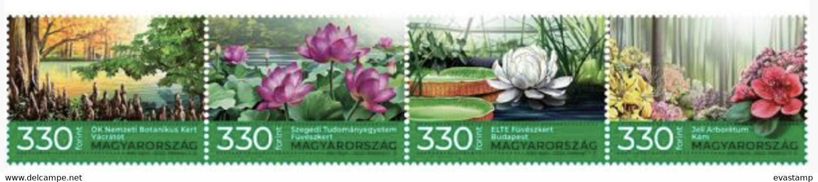 HUNGARY - 2022. Hungarian Botanic Gardens And Arboretums / Rhododendron / Water Lily / MNH!! - Nuevos