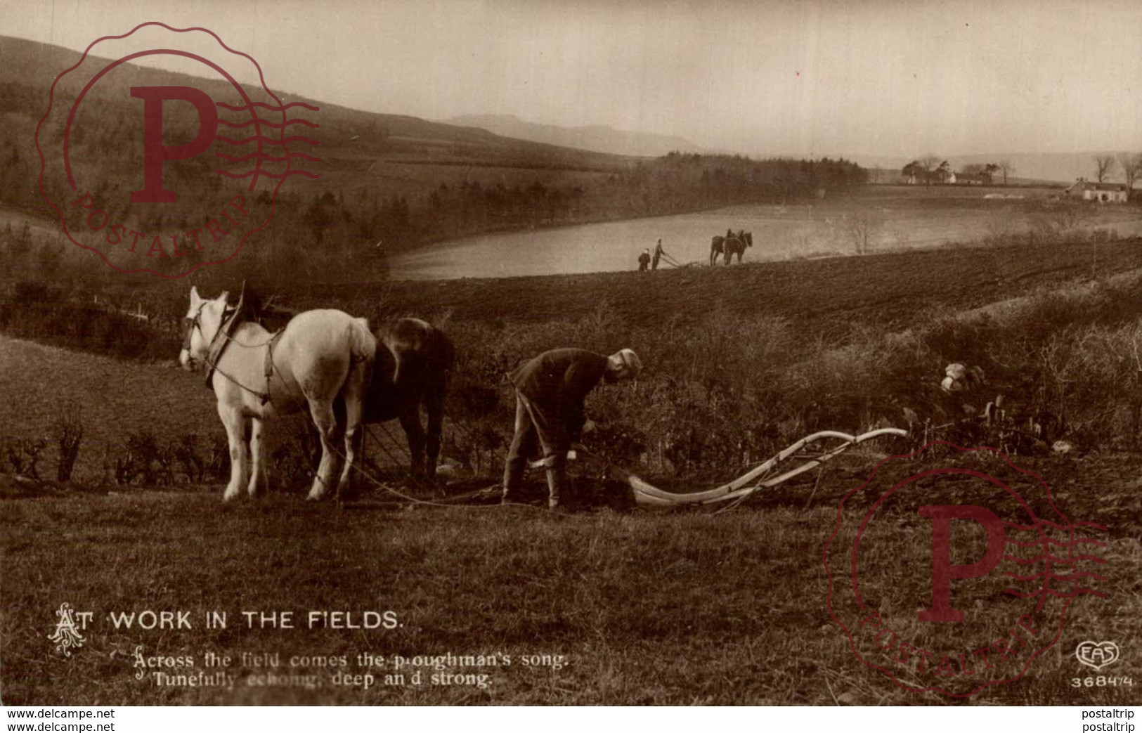 RPPC AT WORK IN THE FIELDS - Attelages