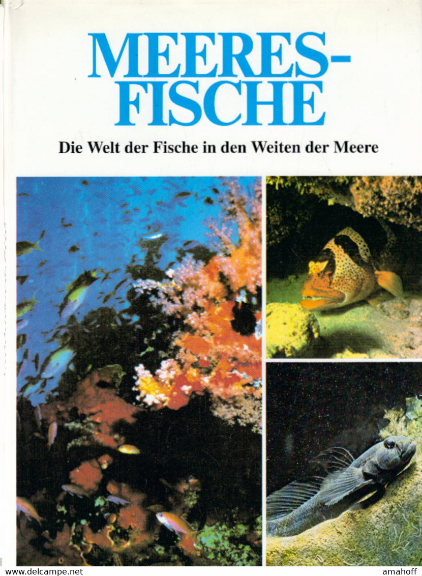 Meeresfische. Die Welt Der Fische In Den Weiten Der Meere - Natura