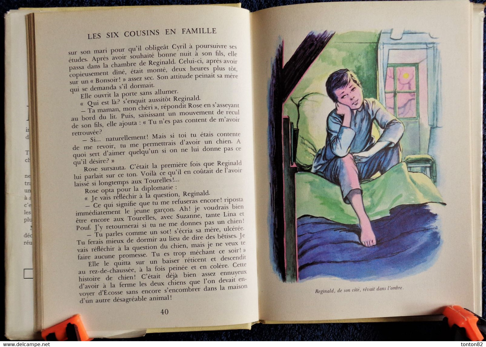 Enid Blyton - Les six cousins en famille - Idéal Bibliothèque - n° 311 -  ( 1968 ) .