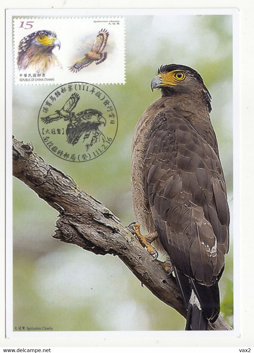 Taiwan 2022 Conservation Of Birds Maximum Card Maxicard Fauna Bird - Unused Stamps