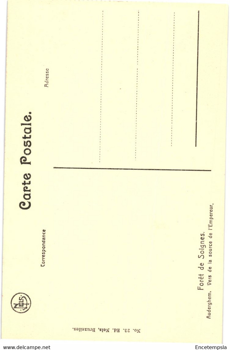 CPA Carte Postale  Belgique-Bruxelles  Forêt De Soignes -Auderghem Vers La Source De L'Empereur VM50689 - Forêts, Parcs, Jardins