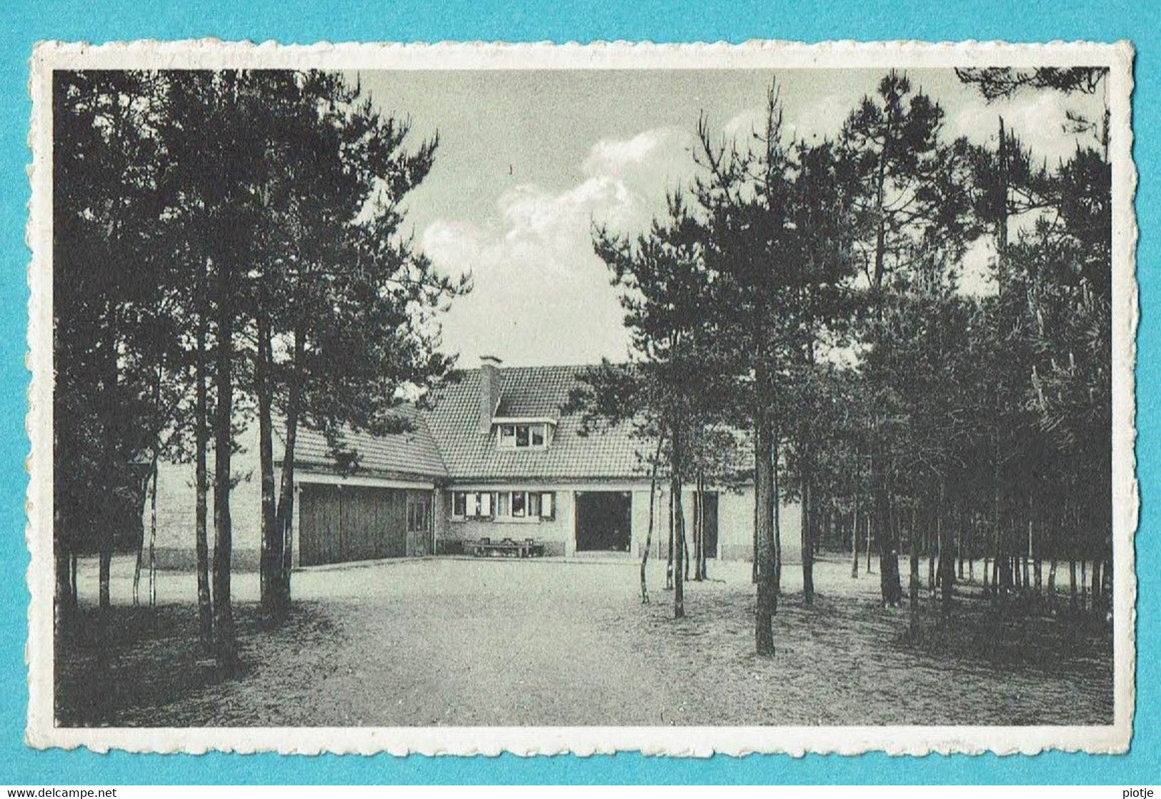 * Lichtaart - Kasterlee (Antwerpen) * (Nels, Ern Thill) Kamphuis Langenberg, Het Jeugdhuis, Bois, Old, Rare - Kasterlee