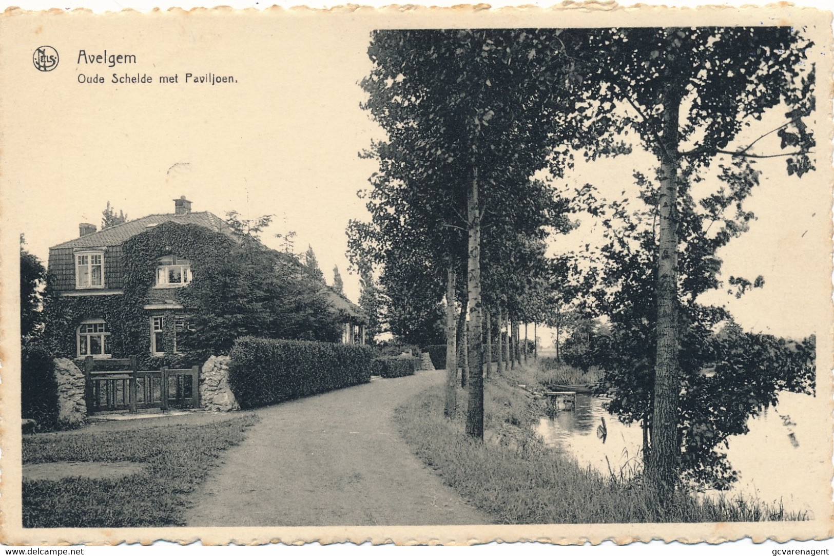 AVELGEM    OUDE SCHELDE MET PAVILJOEN         2 SCANS - Avelgem