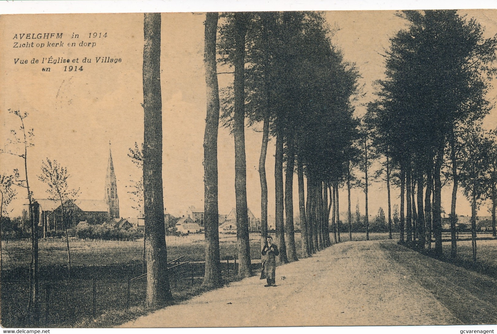 AVELGEM   IN 1914  ZICHT OP KERK EN DORP          2 SCANS - Avelgem