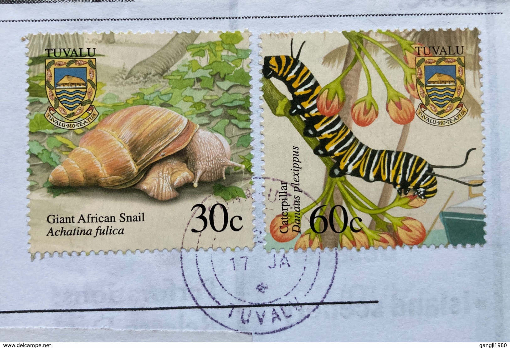 TUVALU 2002, NEWSLETTER STAMP UNITED WE STAND ! DETAILS ,GAINT AFRICA SNAIL ,CATERPILLAR,2 STAMPS COVER TO INDIA - Tuvalu