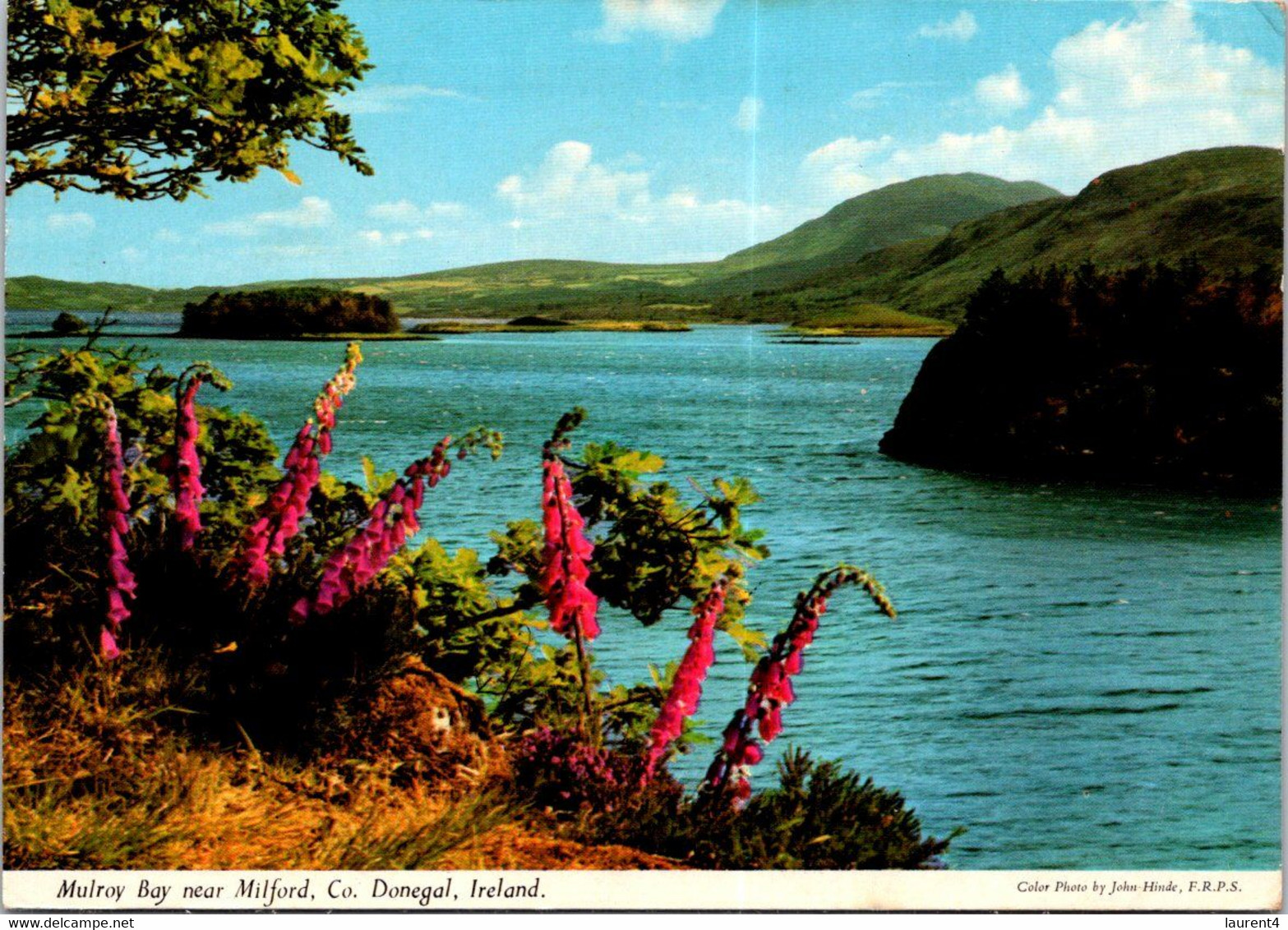 (1 G 25) Ireland - Co Donegal - Mulroy Bay Near Milford - Posted To Australia - Donegal
