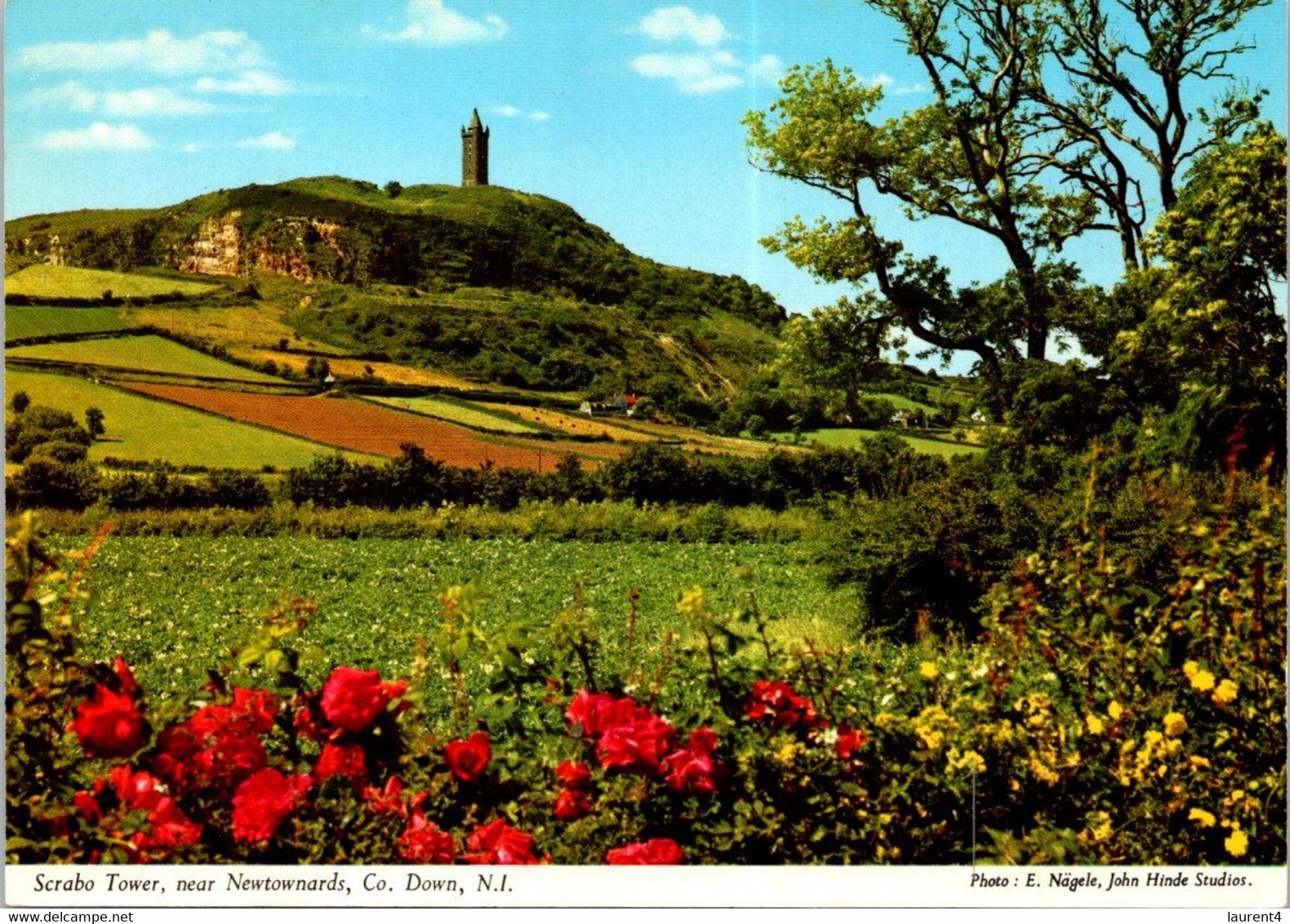 (1 G 25) Ireland - Co Down  - Scrabo Tower - Down