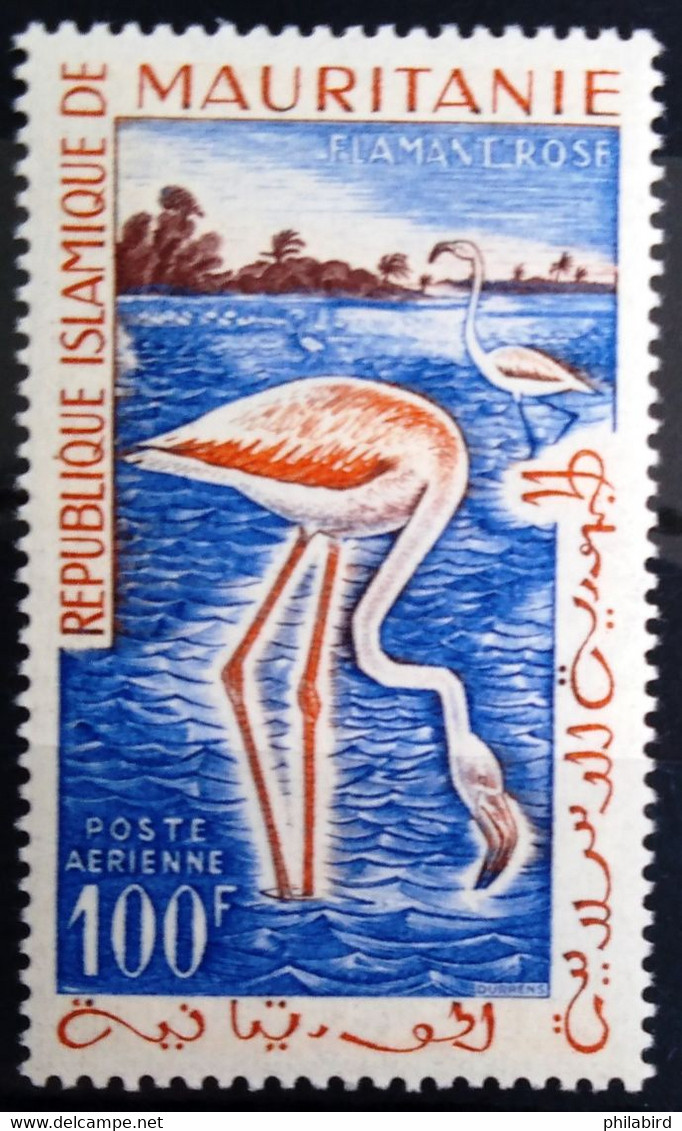 OISEAUX - MAURITANIE                 PA 18                    NEUF* - Flamingo's