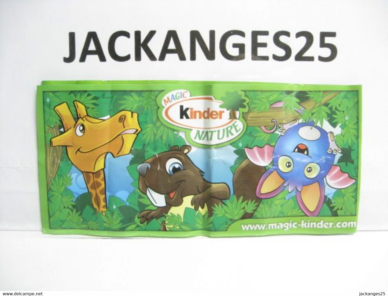 KINDER MPG UN 20 B TORTUE ANIMAUX NATURE NATOONS TIERE 2010  2011 + BPZ B NATURE - Familias