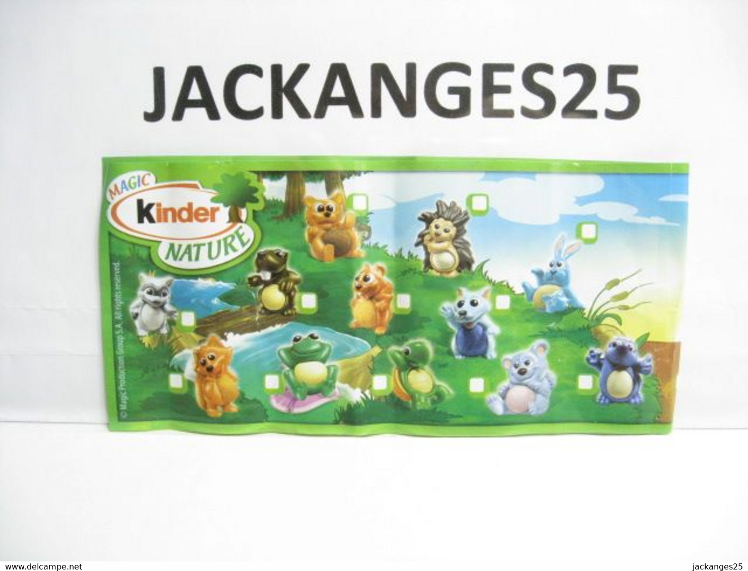 KINDER MPG UN 20 B TORTUE ANIMAUX NATURE NATOONS TIERE 2010  2011 + BPZ B NATURE - Familles