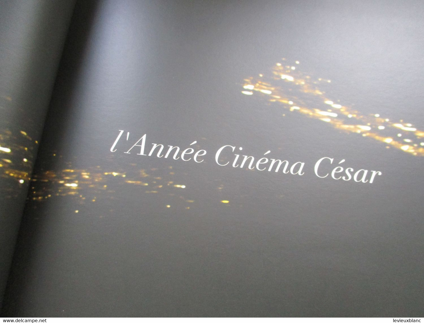 Cinéma/ Programme Officiel de Luxe/ Académie des Arts et Techniques du Cinéma/40éme Cérémonie des CESARS/2015  CIN122