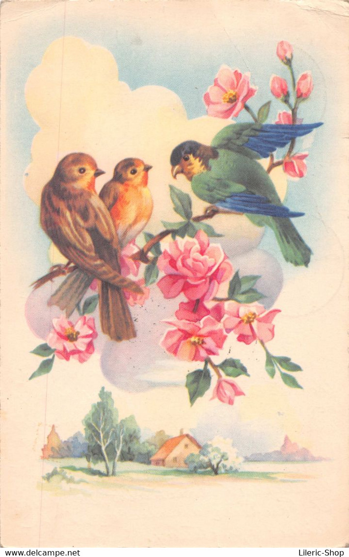 Délicat Dessin D'oiseaux Sur Un Rosier - Série N°1700 - MD Cpsm PF 1955 ( ͡◕ . ͡◕) ♣ - Pájaros