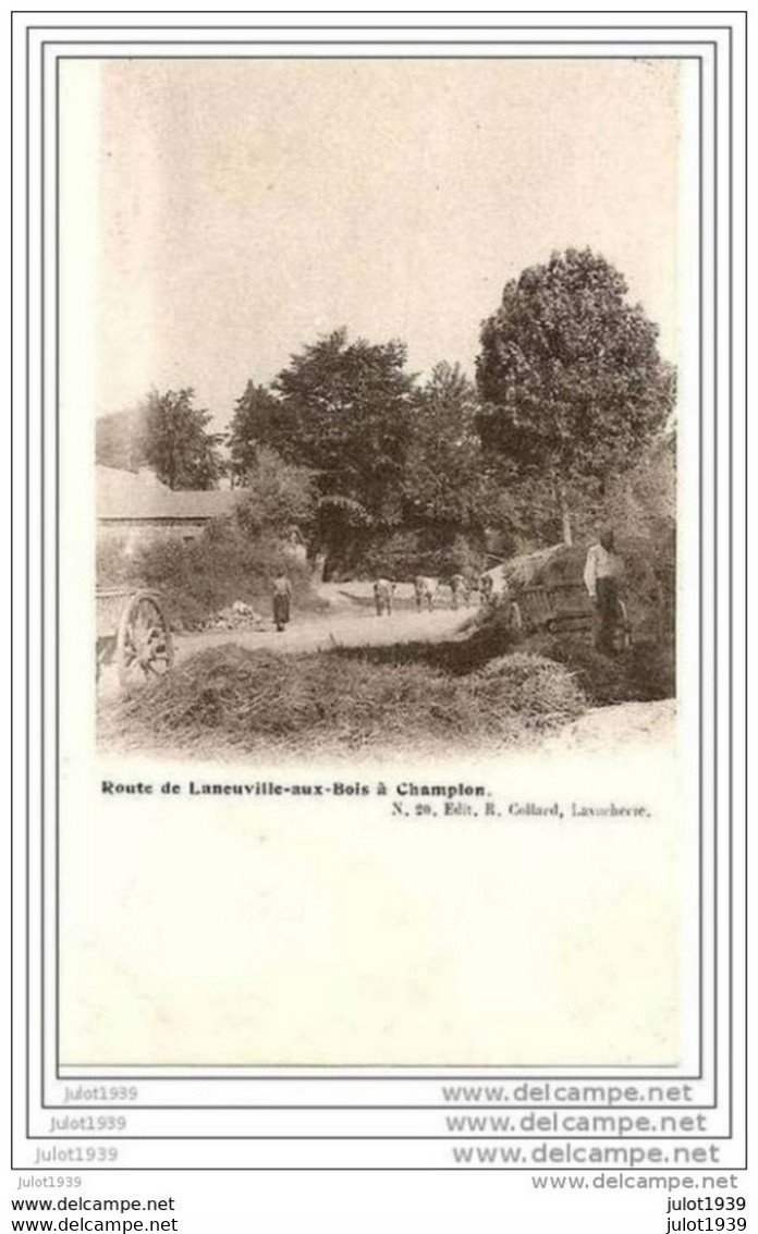 LANEUVILLE - AUX - BOIS ..-- TENNEVILLE ..-- Route Vers CHAMPLON . - Tenneville