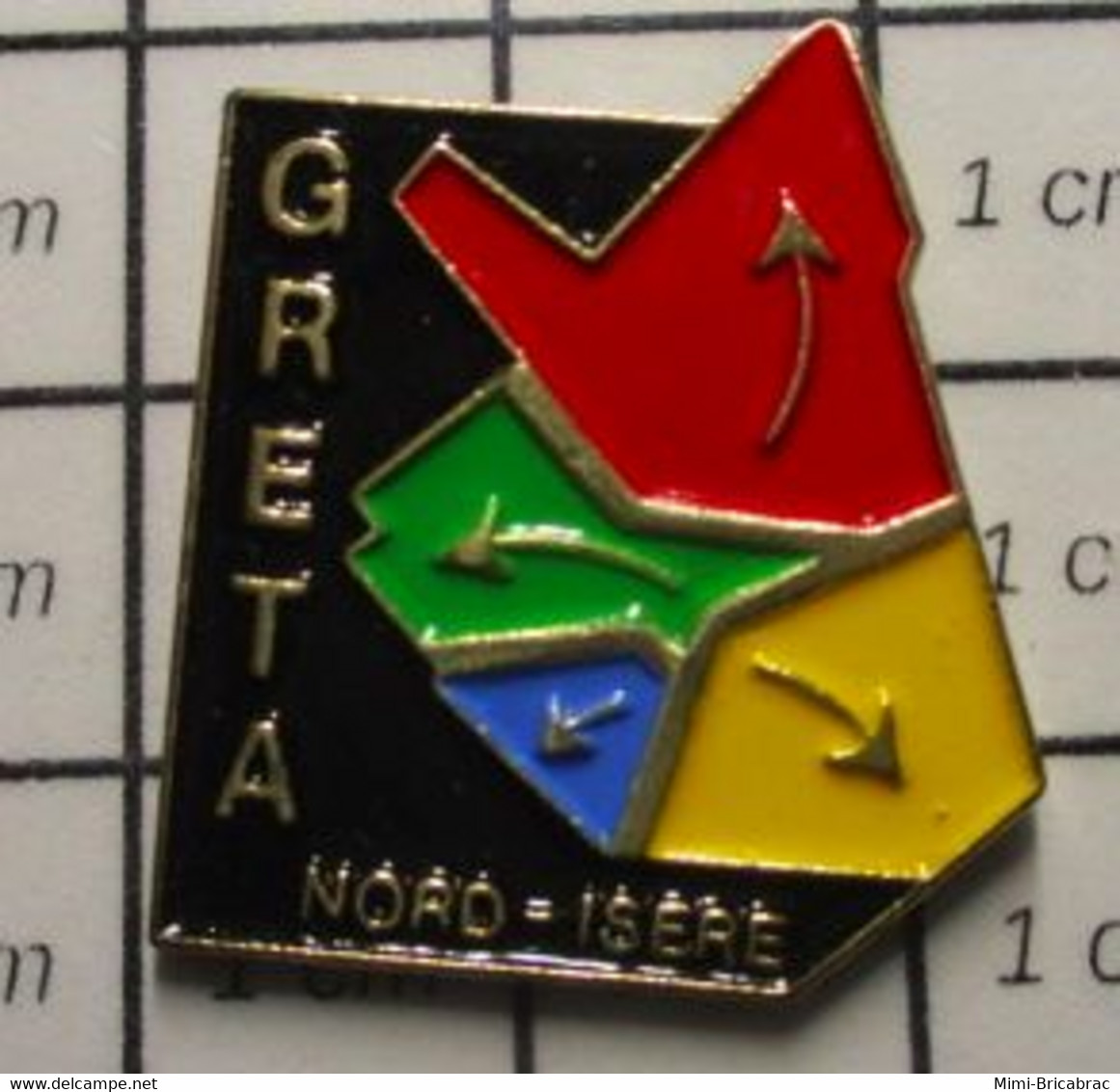 3117 Pin's Pins / Beau Et Rare / THEME : ADMINISTRATIONS / GRETA NORD ISERE  Groupements D'établissements (Greta) Sont L - Administrations