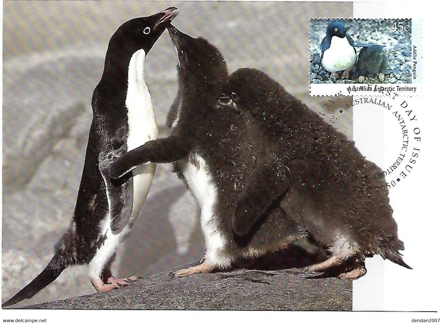 Australian Antarctic Ter. -Maximum Card And Postal Stationery  1992 -  Adelie Penguin  -  Pygoscelis Adeliae - Pinguïns & Vetganzen