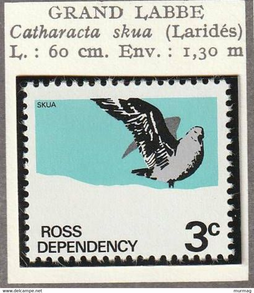 ROSS DEPENDENCY - Avion, Bateaux, Grand Labe - 1979 - MNH - Unused Stamps