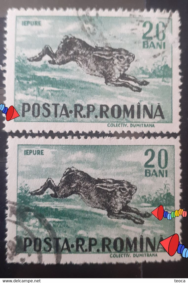 Errors Romania 1956 # Mi 1565  Printed With The Letter Romanian Post Moved And Pet Rabbit - Abarten Und Kuriositäten