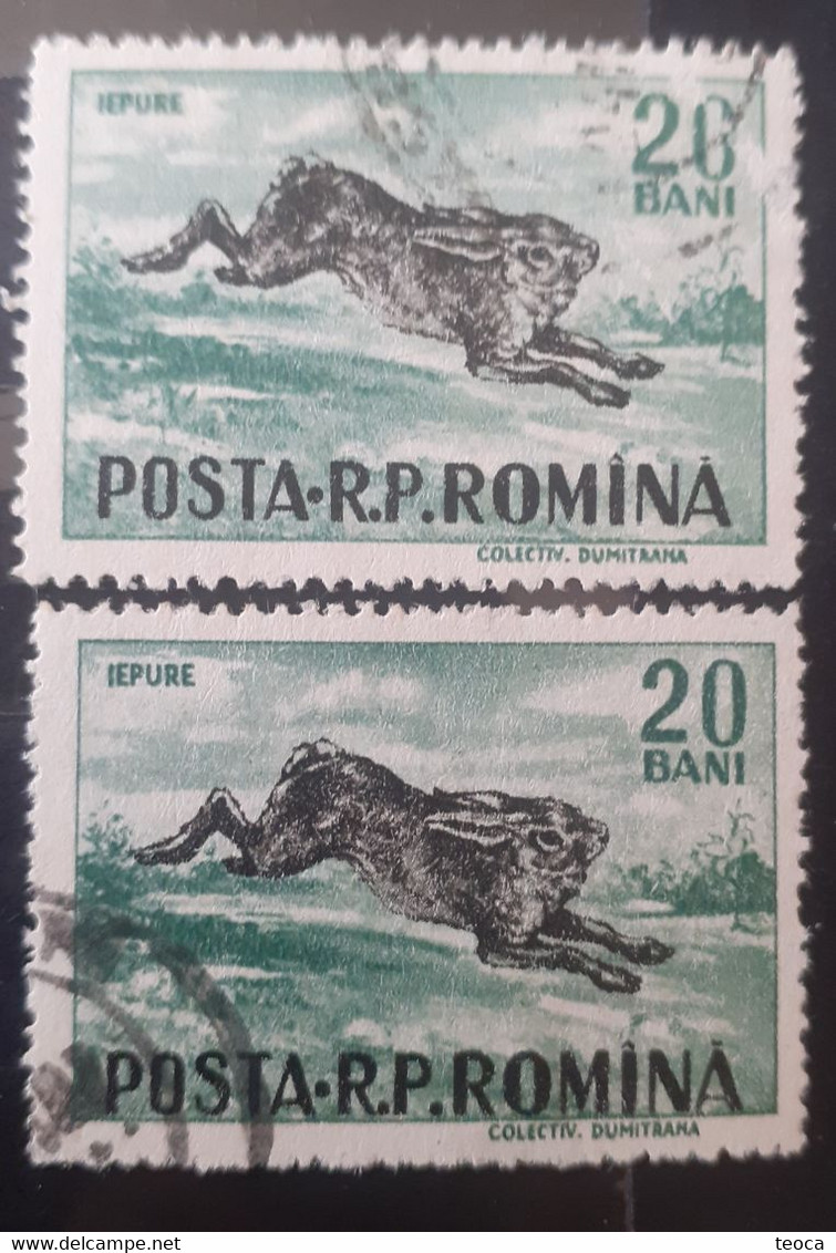 Errors Romania 1956 # Mi 1565  Printed With The Letter Romanian Post Moved And Pet Rabbit - Variedades Y Curiosidades