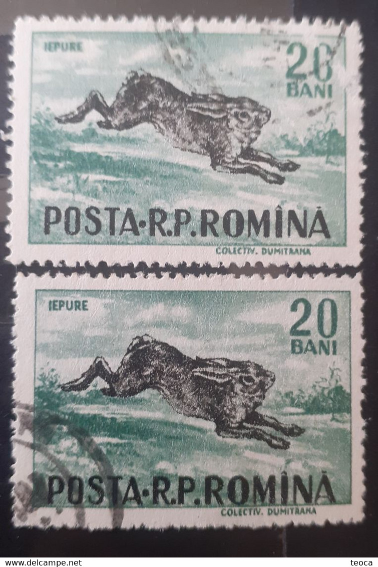 Errors Romania 1956 # Mi 1565  Printed With The Letter Romanian Post Moved And Pet Rabbit - Abarten Und Kuriositäten