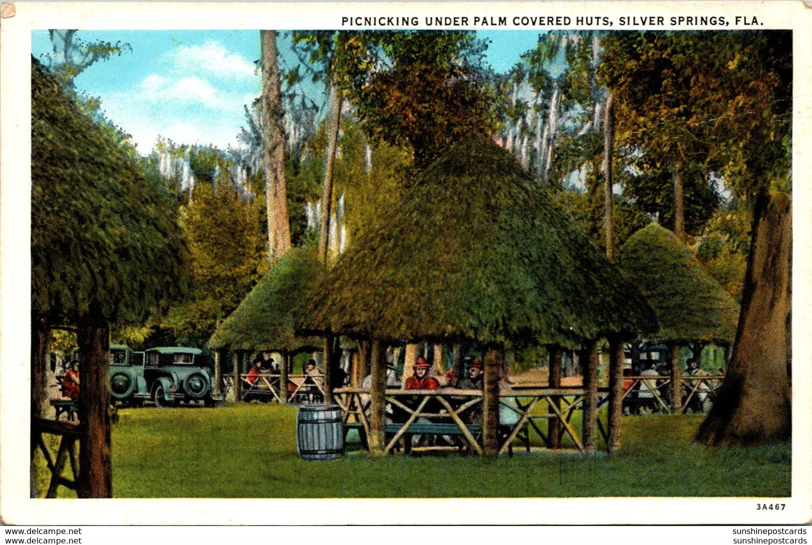 Florida Silver Springs Picnicking Under Palm Covered Huts Curteich - Silver Springs