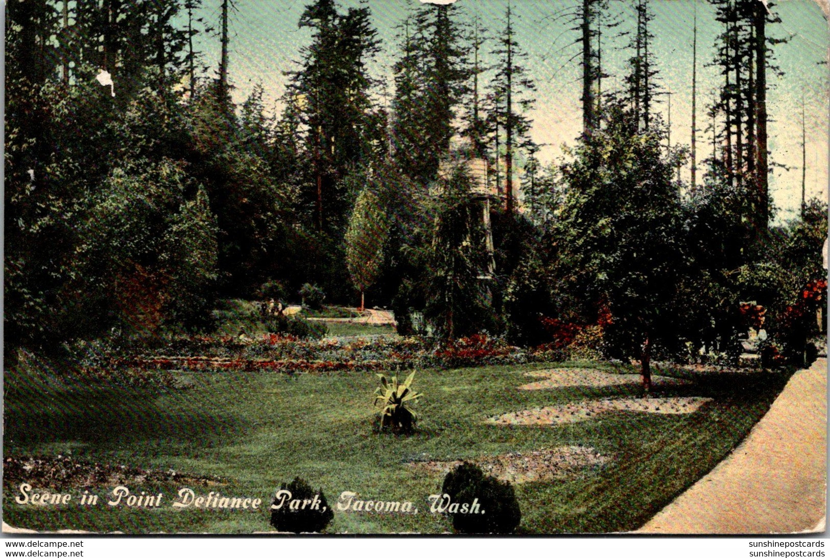 Washington Tacoma Scene In Point Defiance Park 1909 - Tacoma