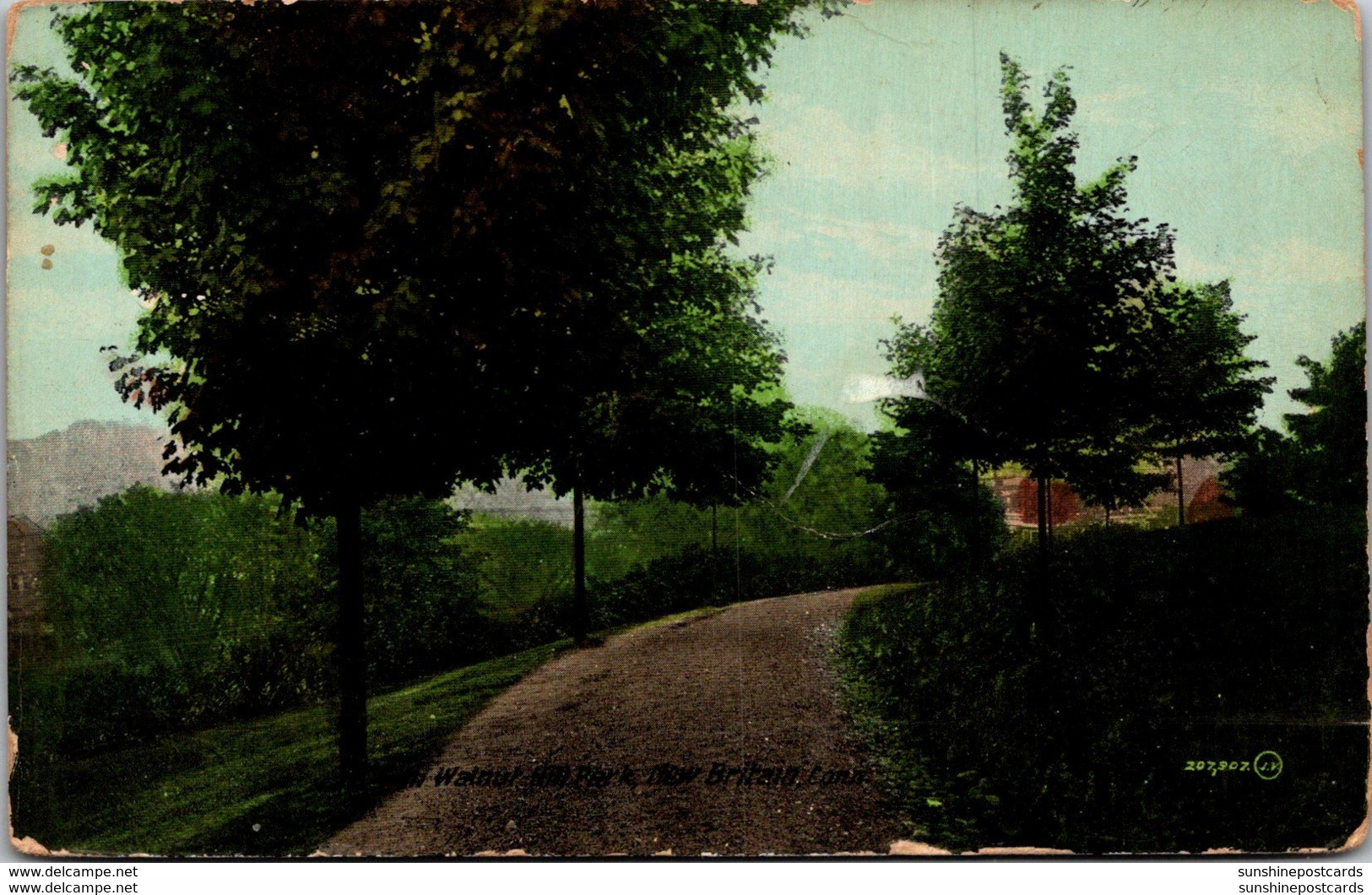 Connecticut New Britain Scene In Walnut Hill Park 1913 - New Britain