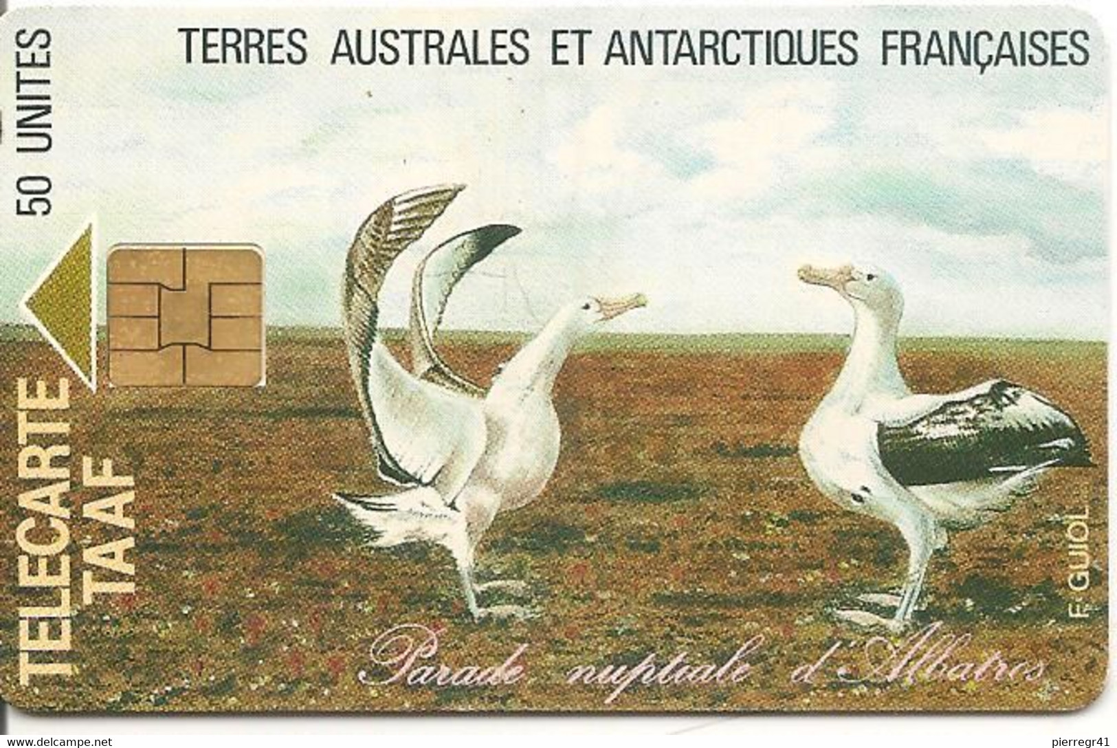 CARTE PUCE-SMART1-TAAF 4-50U-ALBATROS-PARADE NUPTIALE-LUXE-TRES RARE - TAAF - Territori Francesi Meridionali