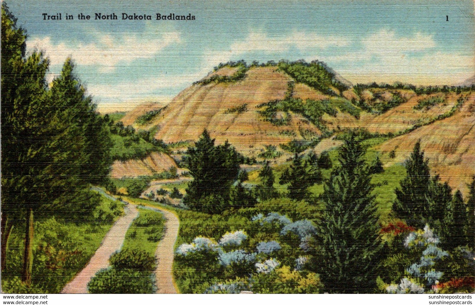 North Dakota Badlands A Typical Trail 1945 - Altri & Non Classificati