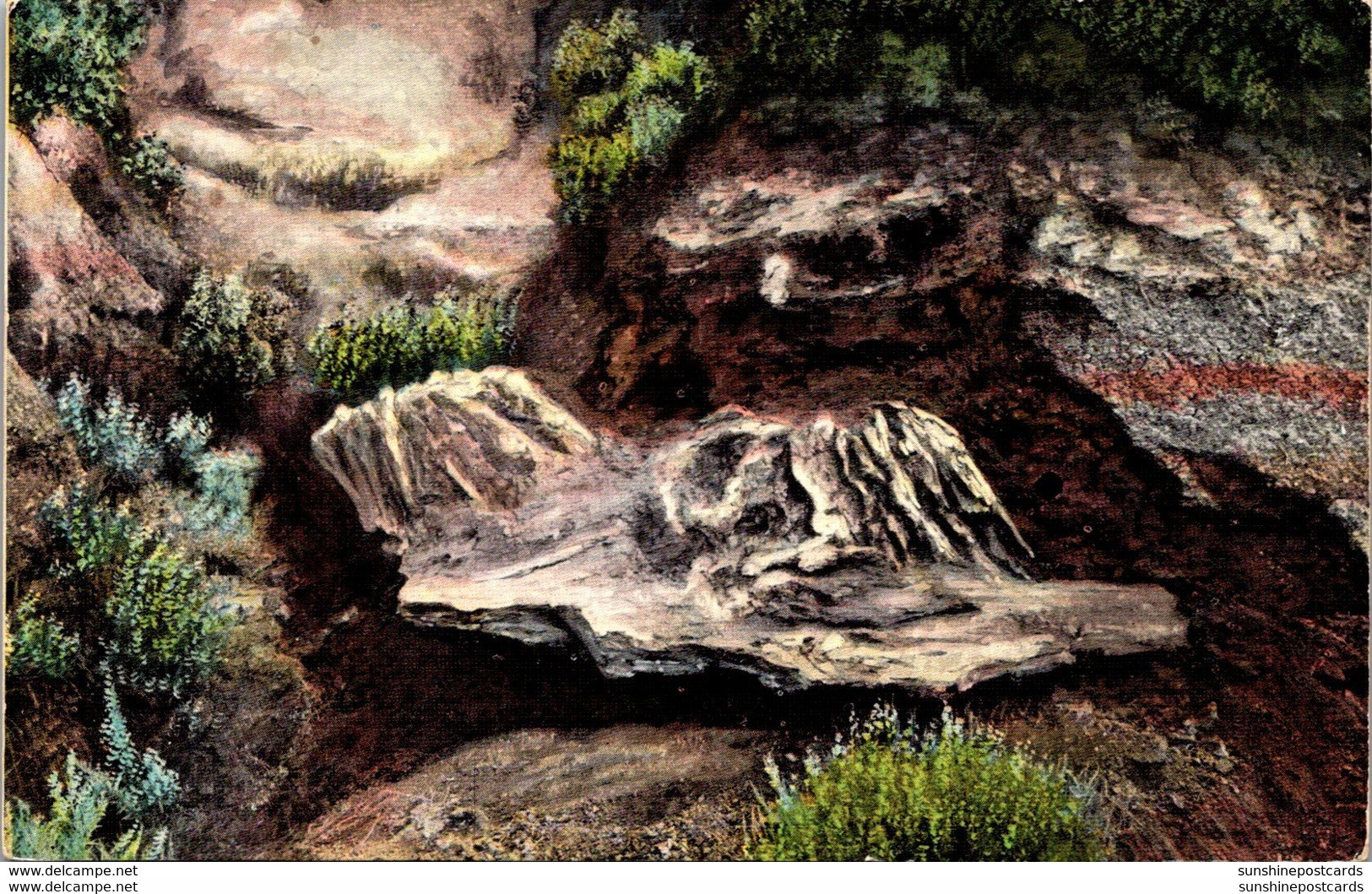 North Dakota Badlands Cedar Canyon Petrified Double Stump 1944 - Andere & Zonder Classificatie