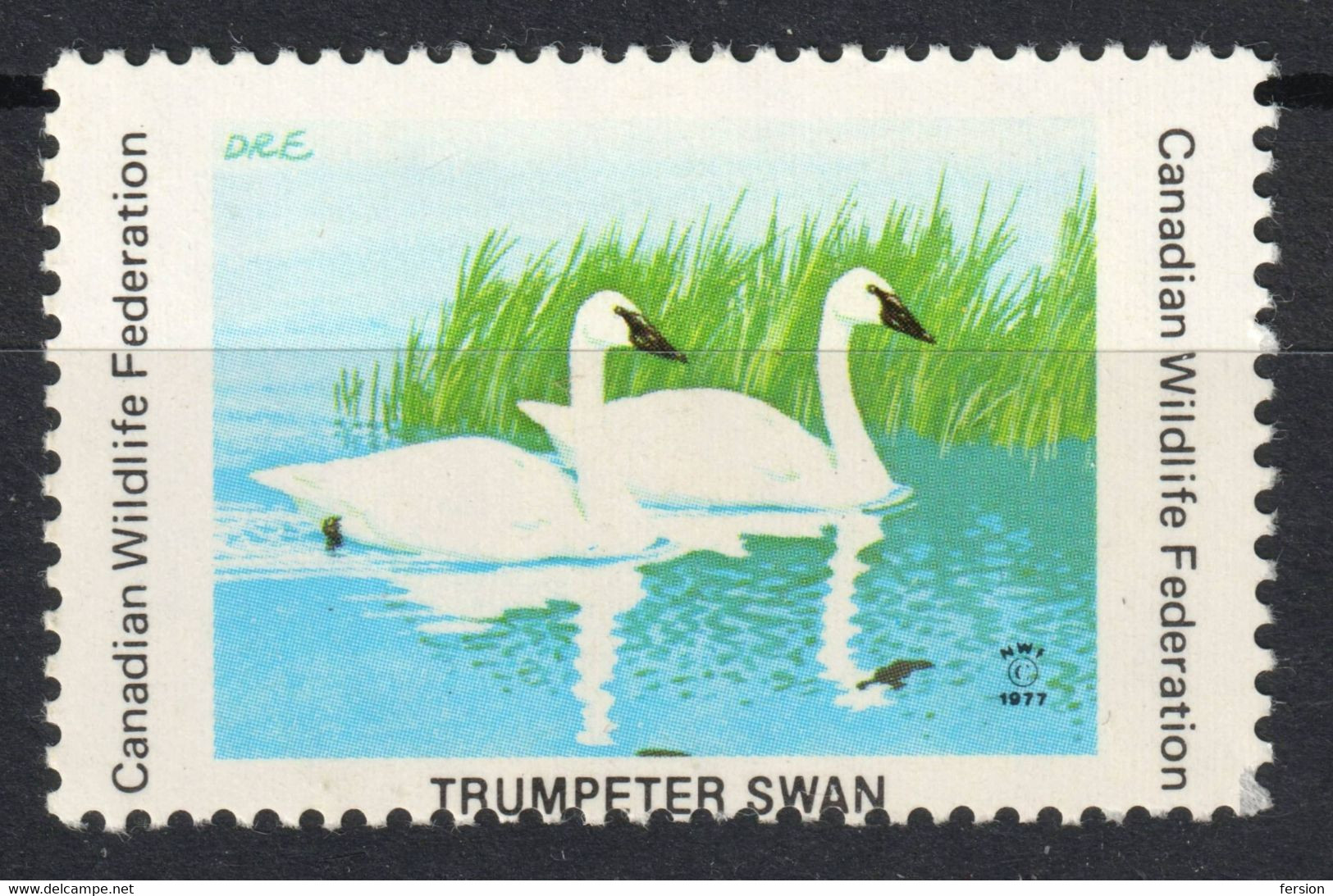 SWAN Trumpeter Bird - Canadian Wildlife Federation 1977 CANADA Charity LABEL CINDERELLA VIGNETTE - Cygnes