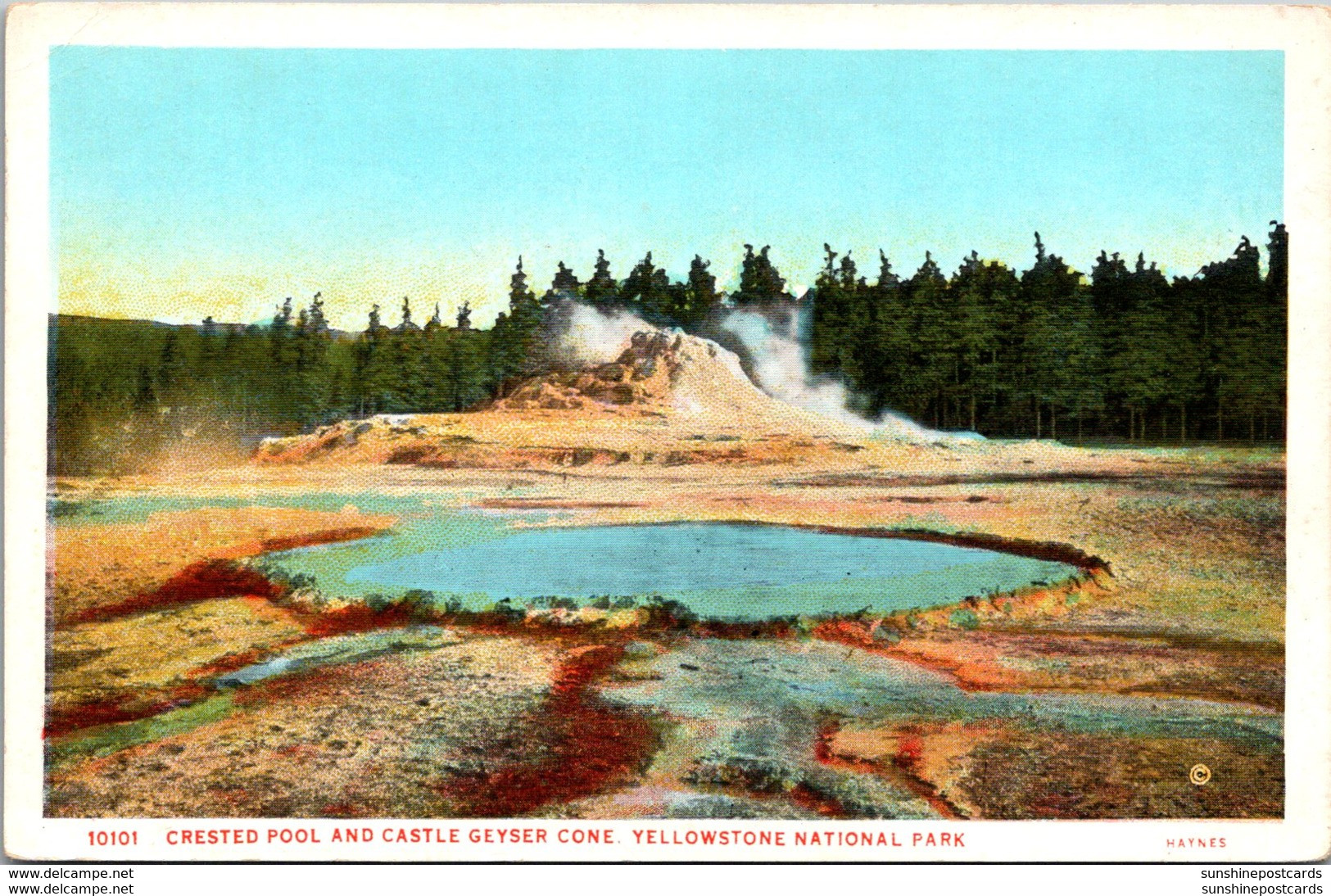 Yellowstone National Park Crested Pool And Castle Geyser Cone Haynes Photo - USA National Parks