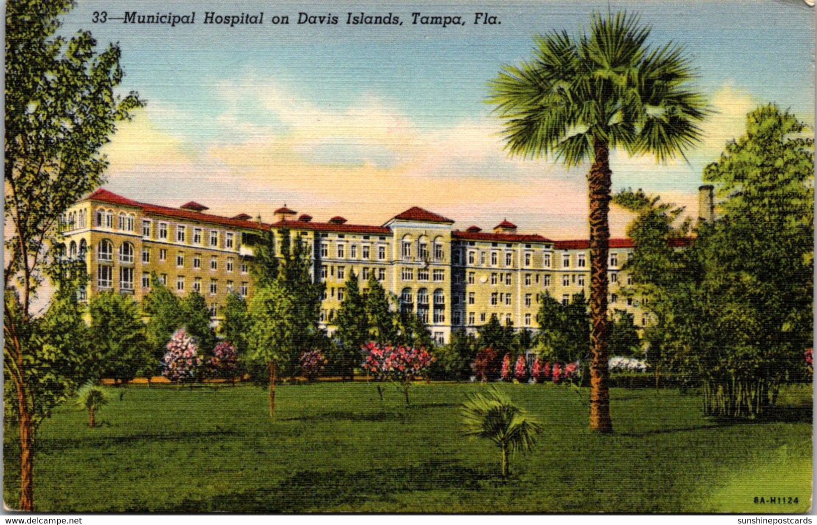 Florida Tampa Municipal Hospital On Davis Islands Curteich - Tampa