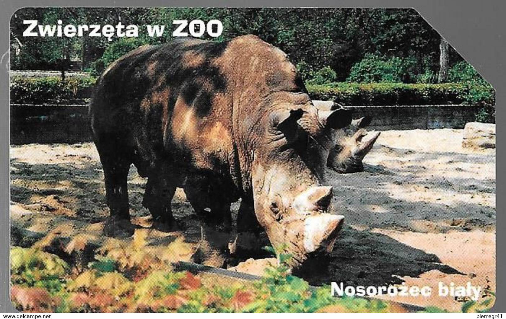 CARTE-MAGNETIQUE-POLOGNE-ZOO-RHINOCEROS-Utilisé- TBE - Dschungel