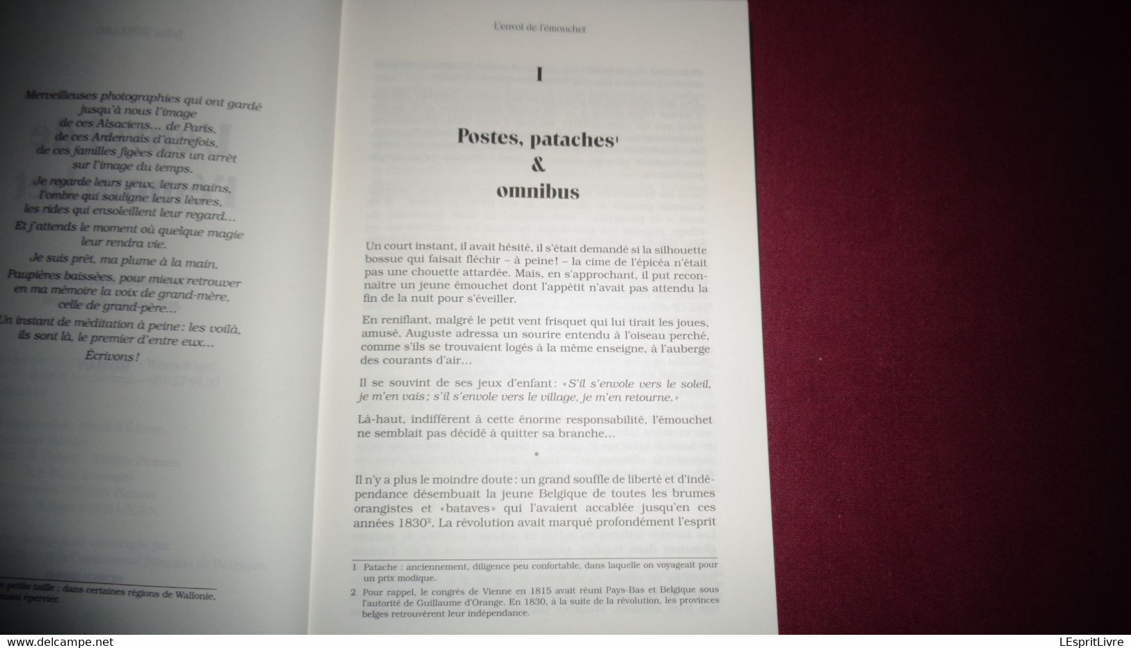 L' ENVOL DE L' EMOUCHET J Boulard Weyrich Régionalisme Ardenne Aventure Auguste Pirot Jehonville Emigration Etats Unis - Auteurs Belges