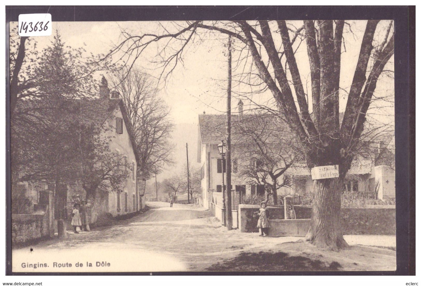 DISTRICT DE NYON - GINGINS - ROUTE DE LA DÔLE - TB - Gingins