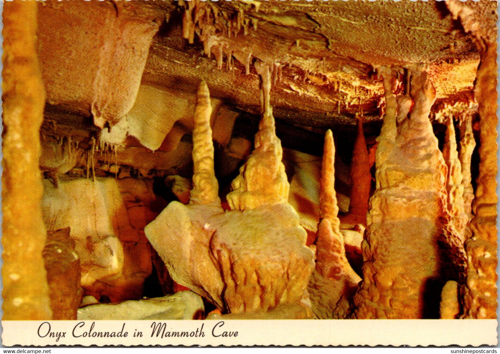 Kentucky Mammoth Cave National Park Onyx Colonnade In Mammoth Cave - Mammoth Cave