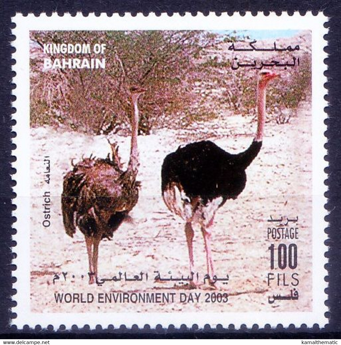 Ostrich, Bahrain 2003 MNH, Birds, World Environment Day - Straussen- Und Laufvögel