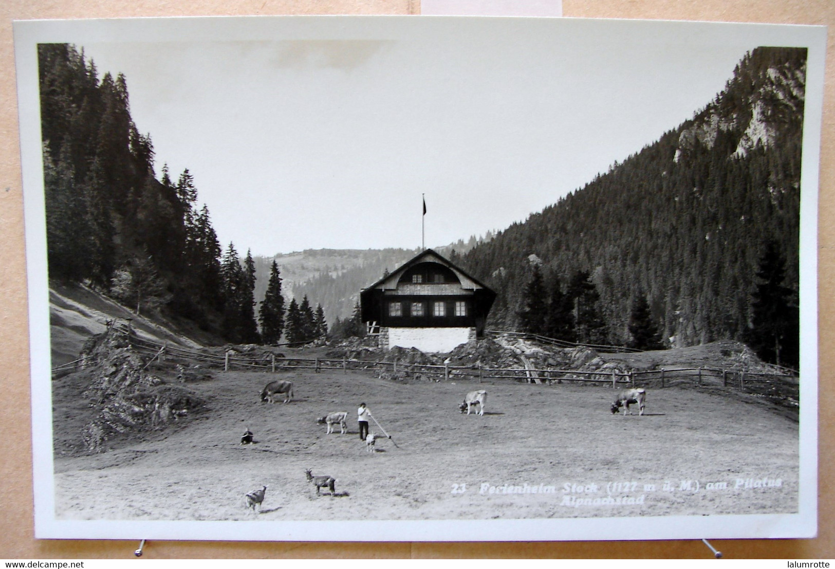 CP. 5020. Ferienheim Stock Am Pilatus Alpnachstad - Alpnach