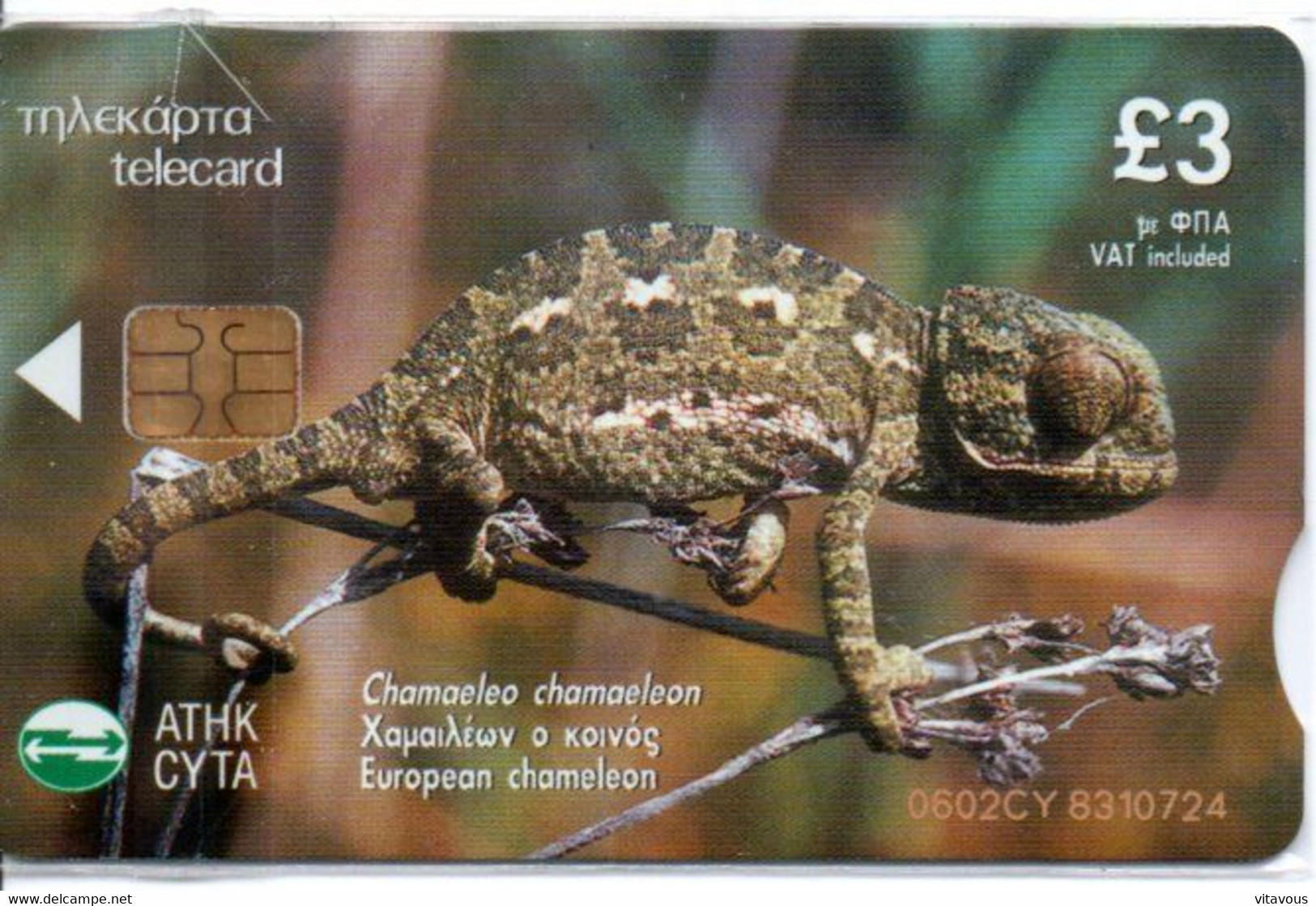 Iguane Iguana  Reptile Lézard Télécarte  Bahamas Phonecard ( D 755) - Bahama's