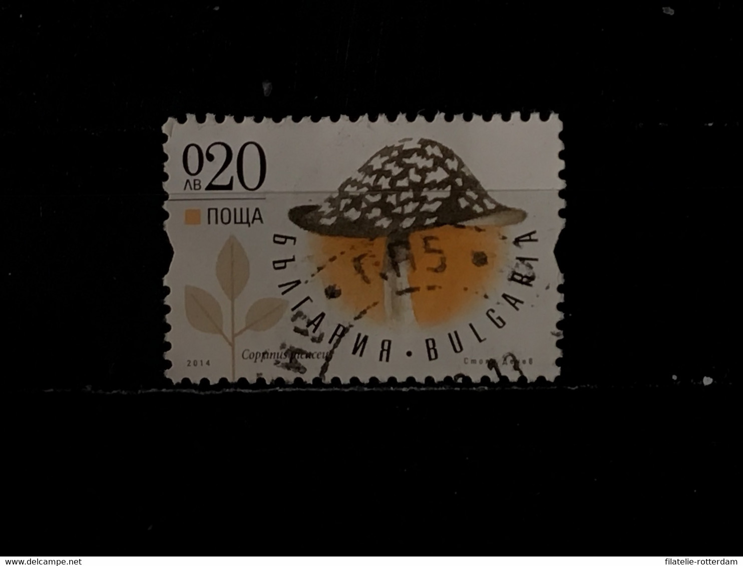 Bulgarije / Bulgaria - Paddenstoelen (0.20) 2014 - Used Stamps