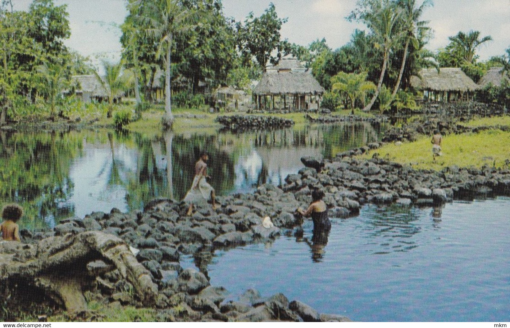 Village Live - Samoa