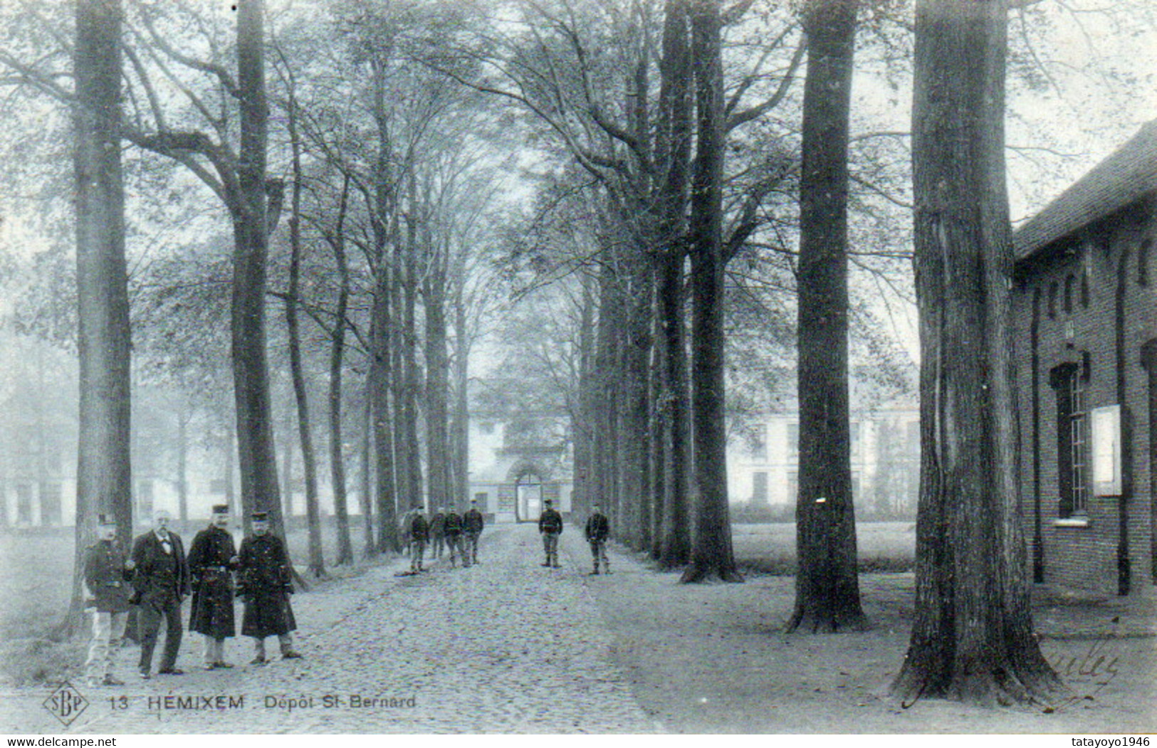 Hemixem Dépot St Bernard Animée Carte SBP 13  Voyagé En 1907 - Hemiksem