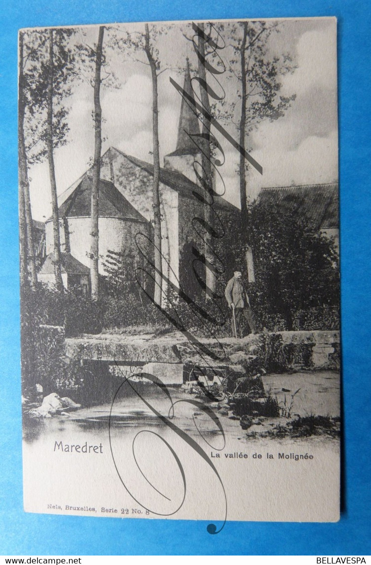 Maredret. La Vallée De La Molignée.  , Nels Serie 22, N°8-Anhée. - Anhee