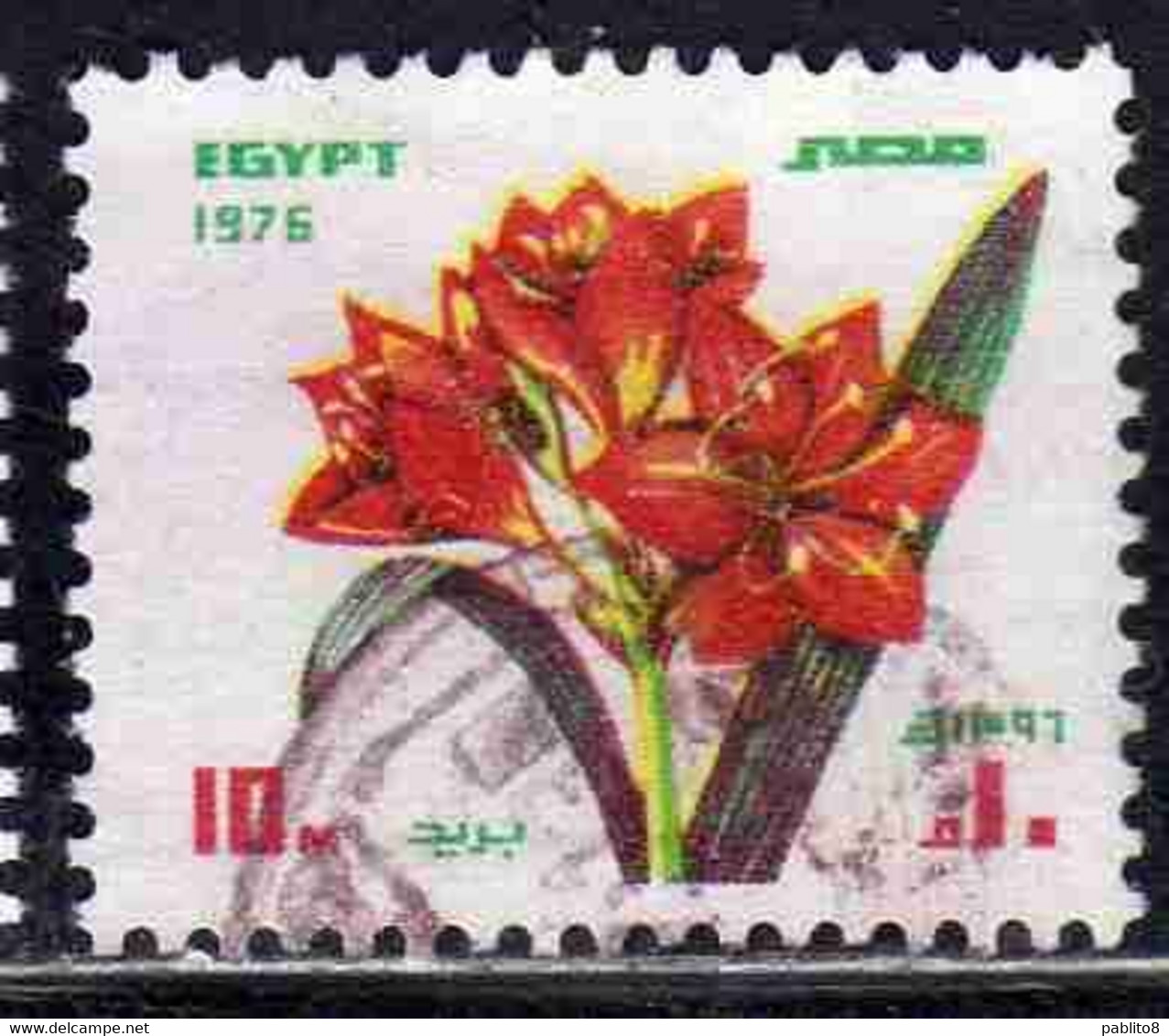 UAR EGYPT EGITTO 1976 FOR USE ON GREETING CARDS FLORA FLOWERS SCARBOROUGH LILY 10m USED USATO OBLITERE' - Oblitérés