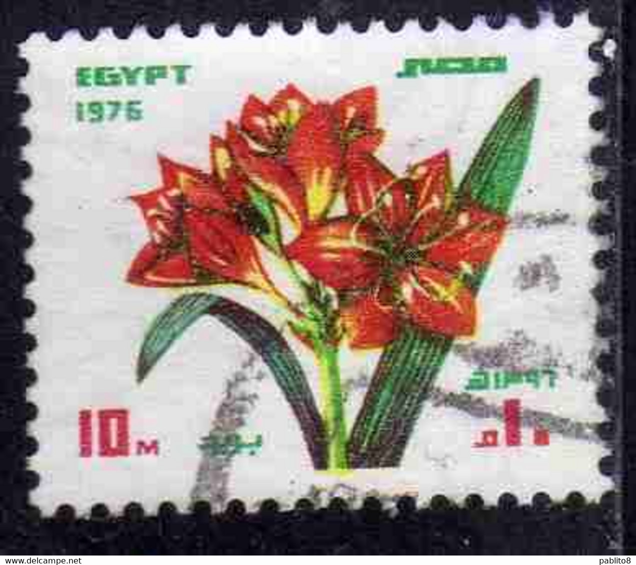 UAR EGYPT EGITTO 1976 FOR USE ON GREETING CARDS FLORA FLOWERS SCARBOROUGH LILY 10m USED USATO OBLITERE' - Oblitérés