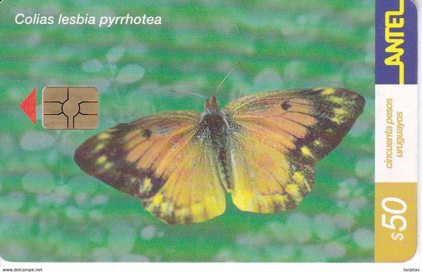 Nº 189 TARJETA DE URUGUAY DE UNA MARIPOSA (CHIP G5 ROJO) BUTTERFLY - Uruguay